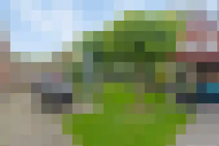 Hein Braakhuisstraat 6 Lettele thumbnail 39