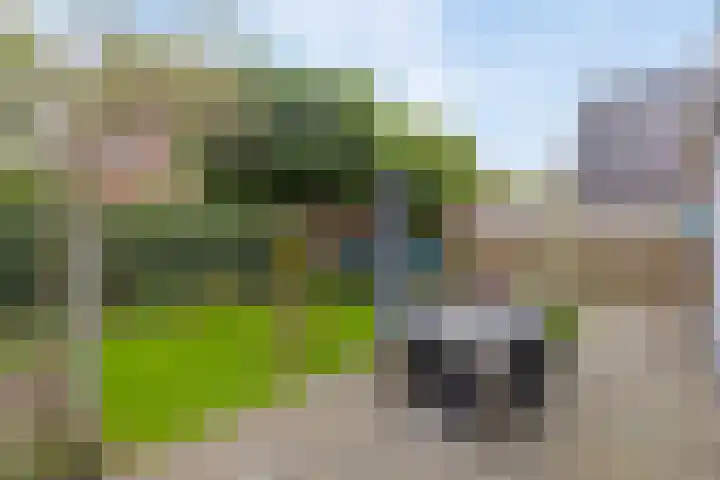 Hein Braakhuisstraat 6 Lettele thumbnail 41