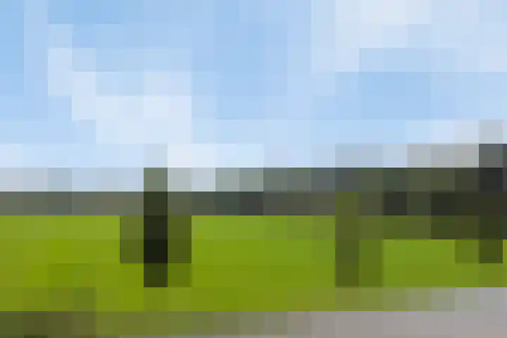 Hein Braakhuisstraat 6 Lettele thumbnail 46