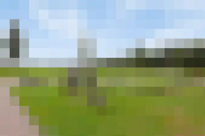 Hein Braakhuisstraat 6 Lettele thumbnail 47