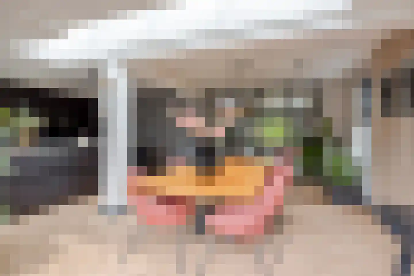 Hein Dijkslagstraat 67 Heerde thumbnail 12
