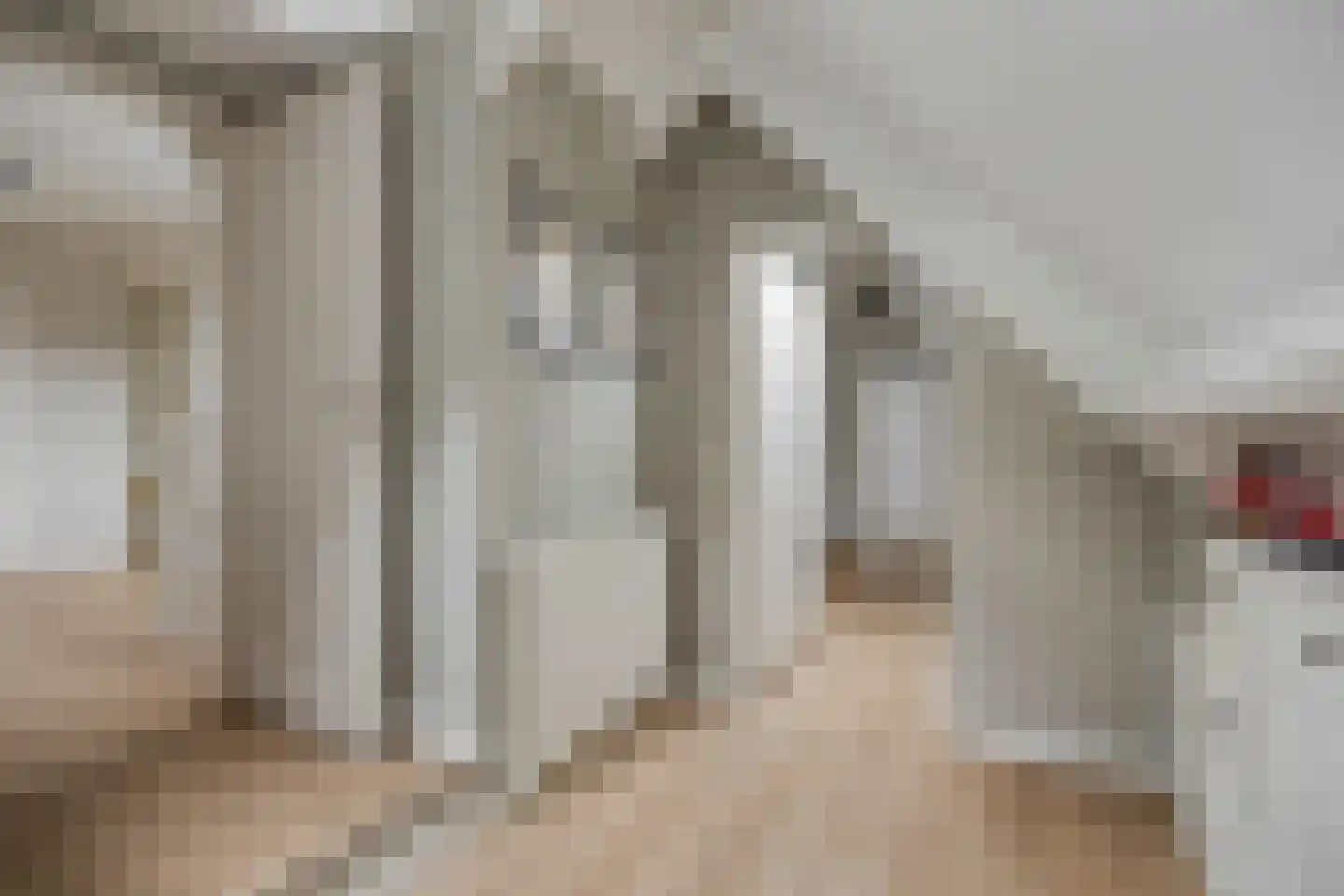 Hein Dijkslagstraat 67 Heerde thumbnail 30
