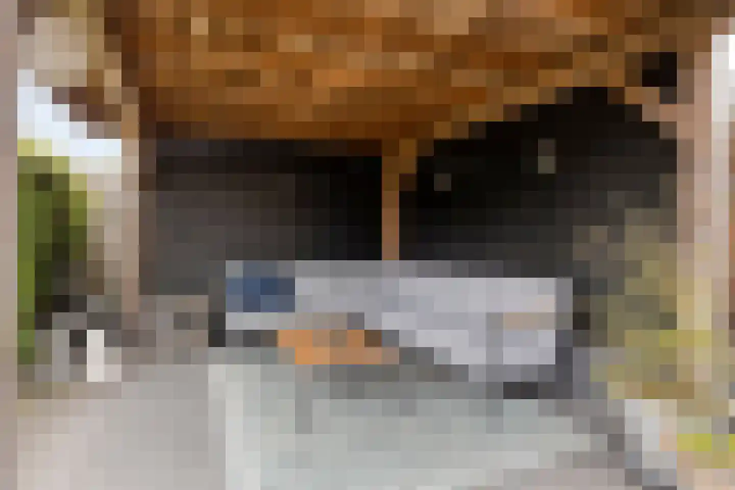 Hein Dijkslagstraat 67 Heerde thumbnail 36