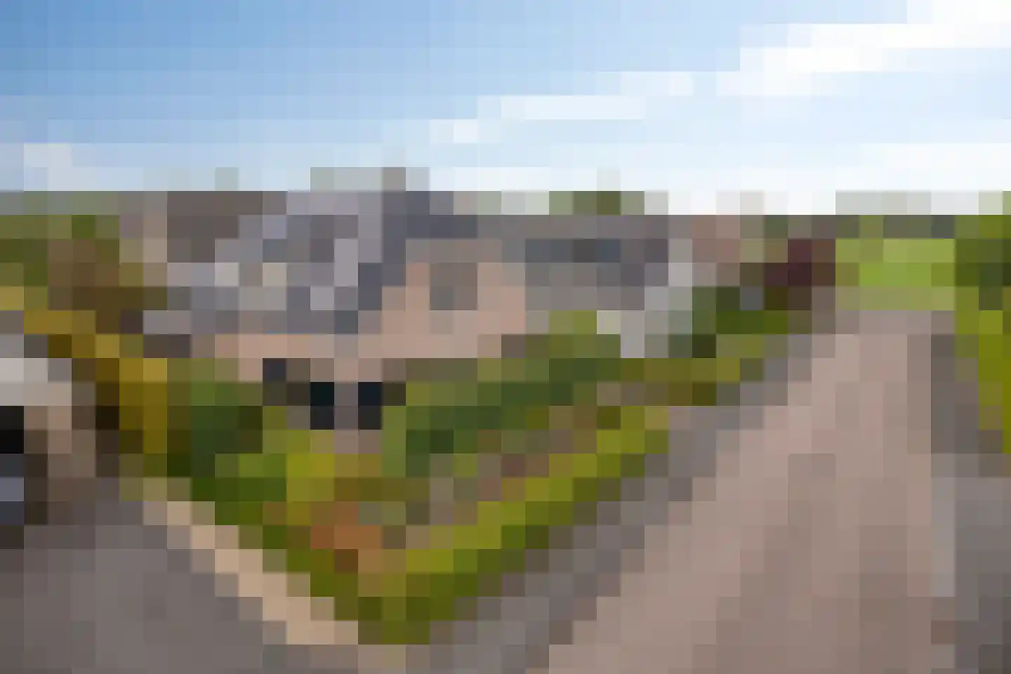 Hein Dijkslagstraat 67 Heerde thumbnail 40