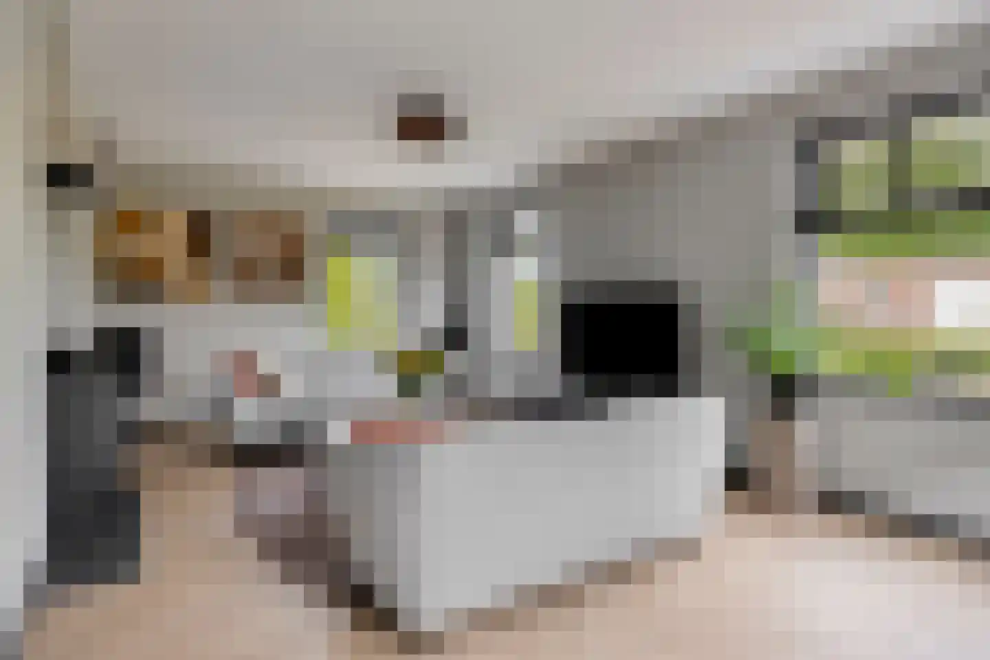 Hein Dijkslagstraat 67 Heerde thumbnail 5
