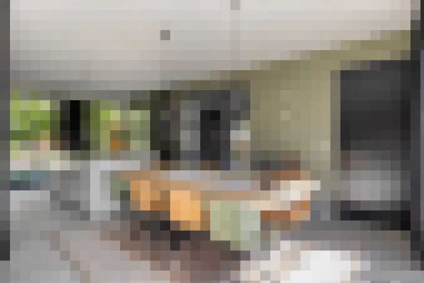 Hein Jordansstraat 12 Waalwijk thumbnail 11