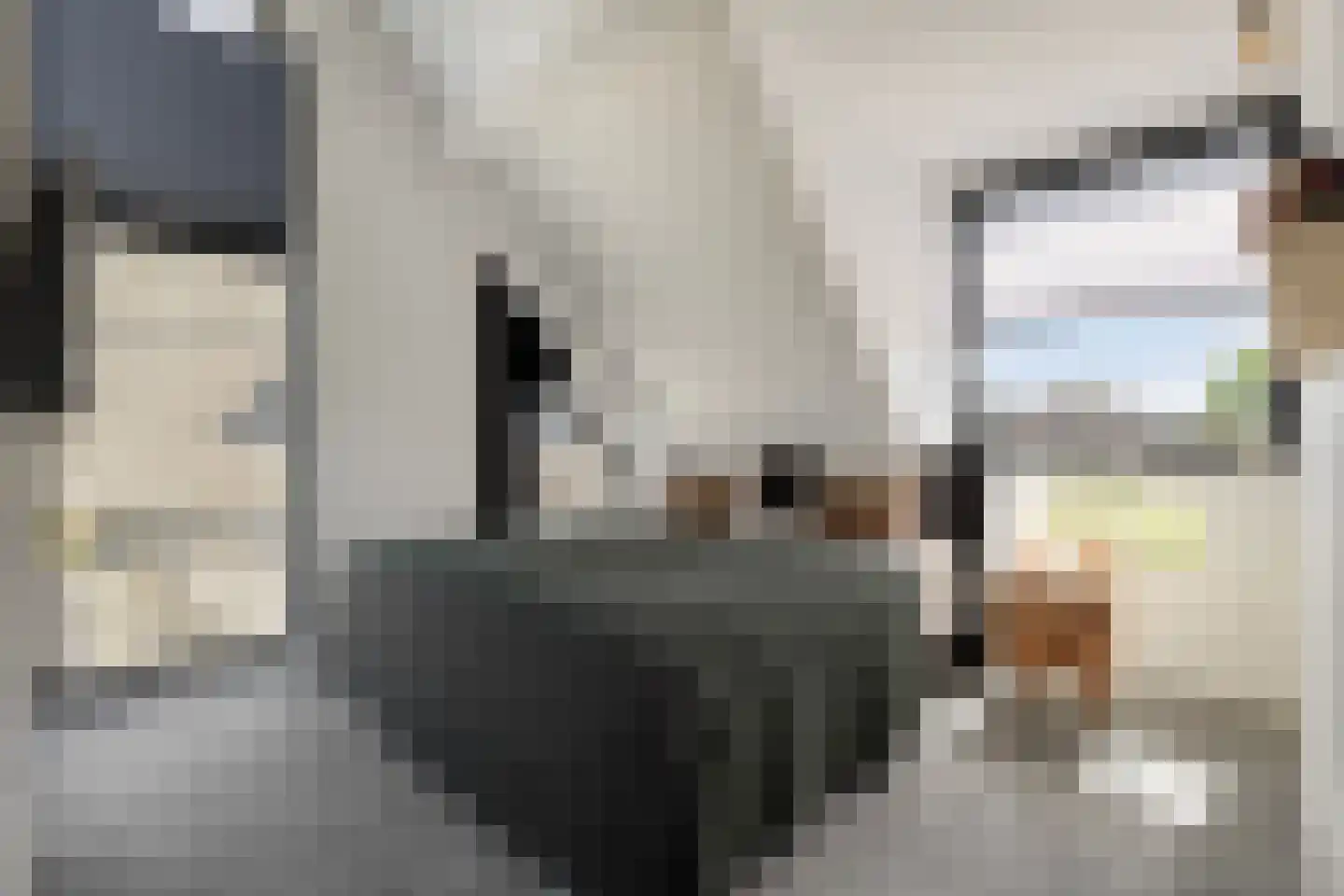 Hein Jordansstraat 12 Waalwijk thumbnail 24