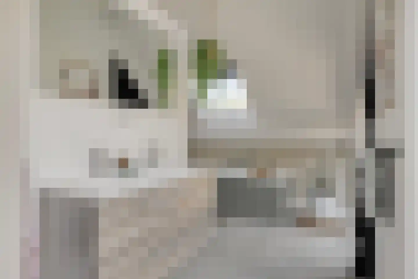 Hein Jordansstraat 12 Waalwijk thumbnail 27