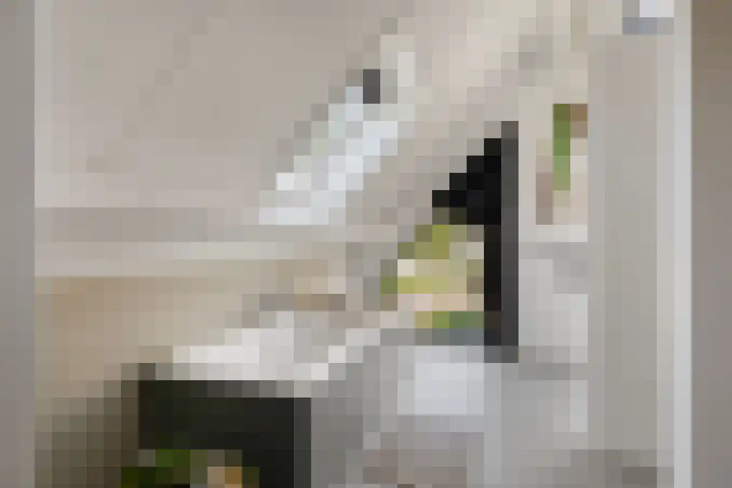 Hein Jordansstraat 12 Waalwijk thumbnail 30