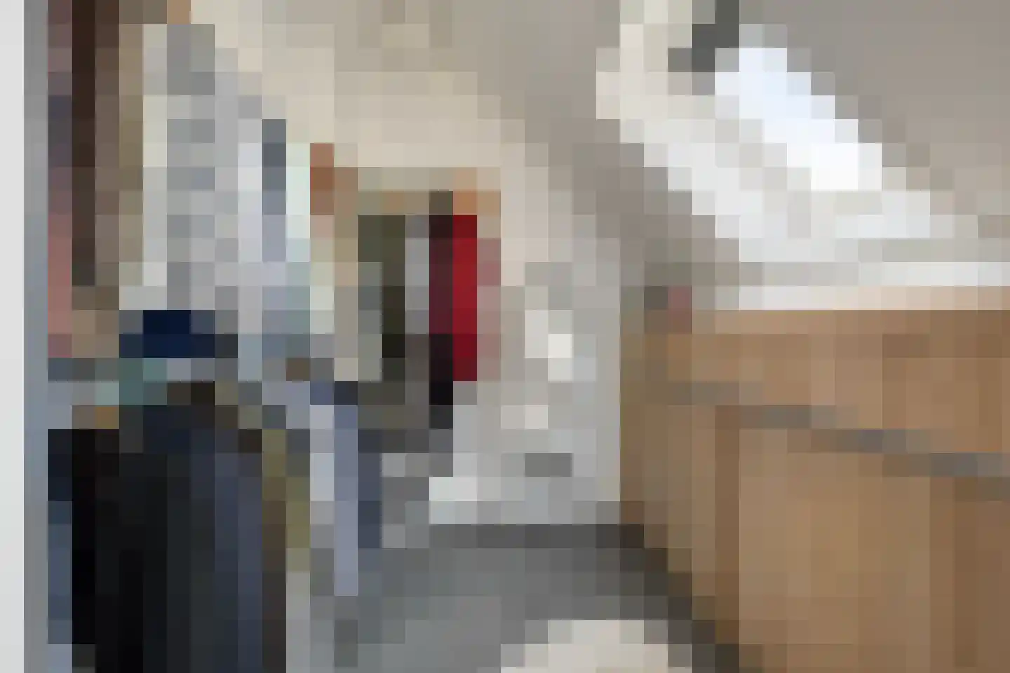 Hein Jordansstraat 12 Waalwijk thumbnail 32