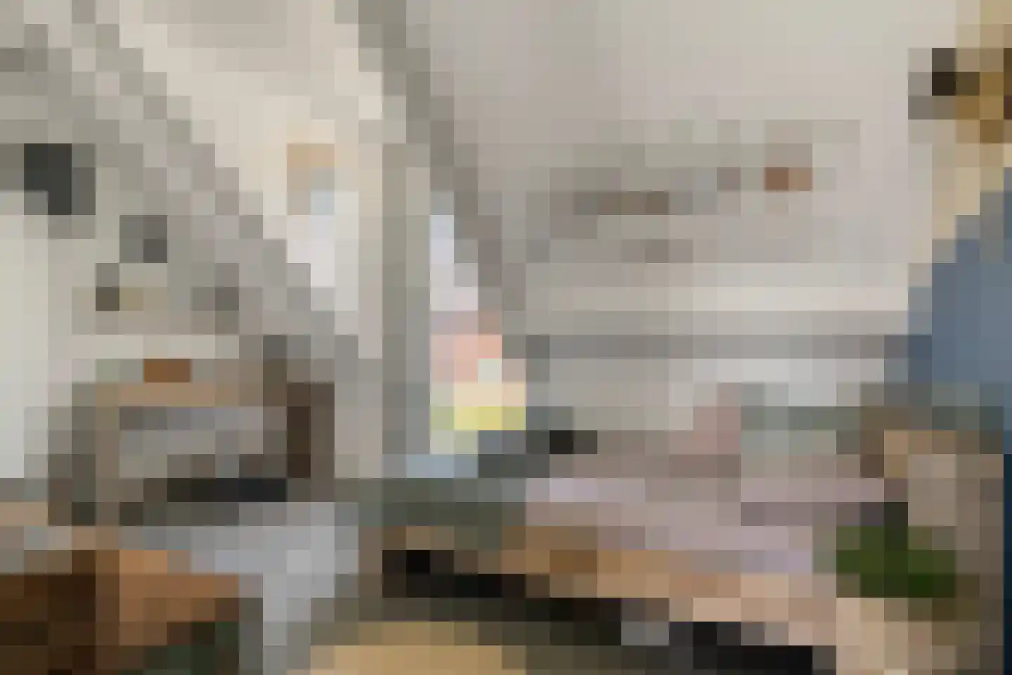Hein Jordansstraat 12 Waalwijk thumbnail 33