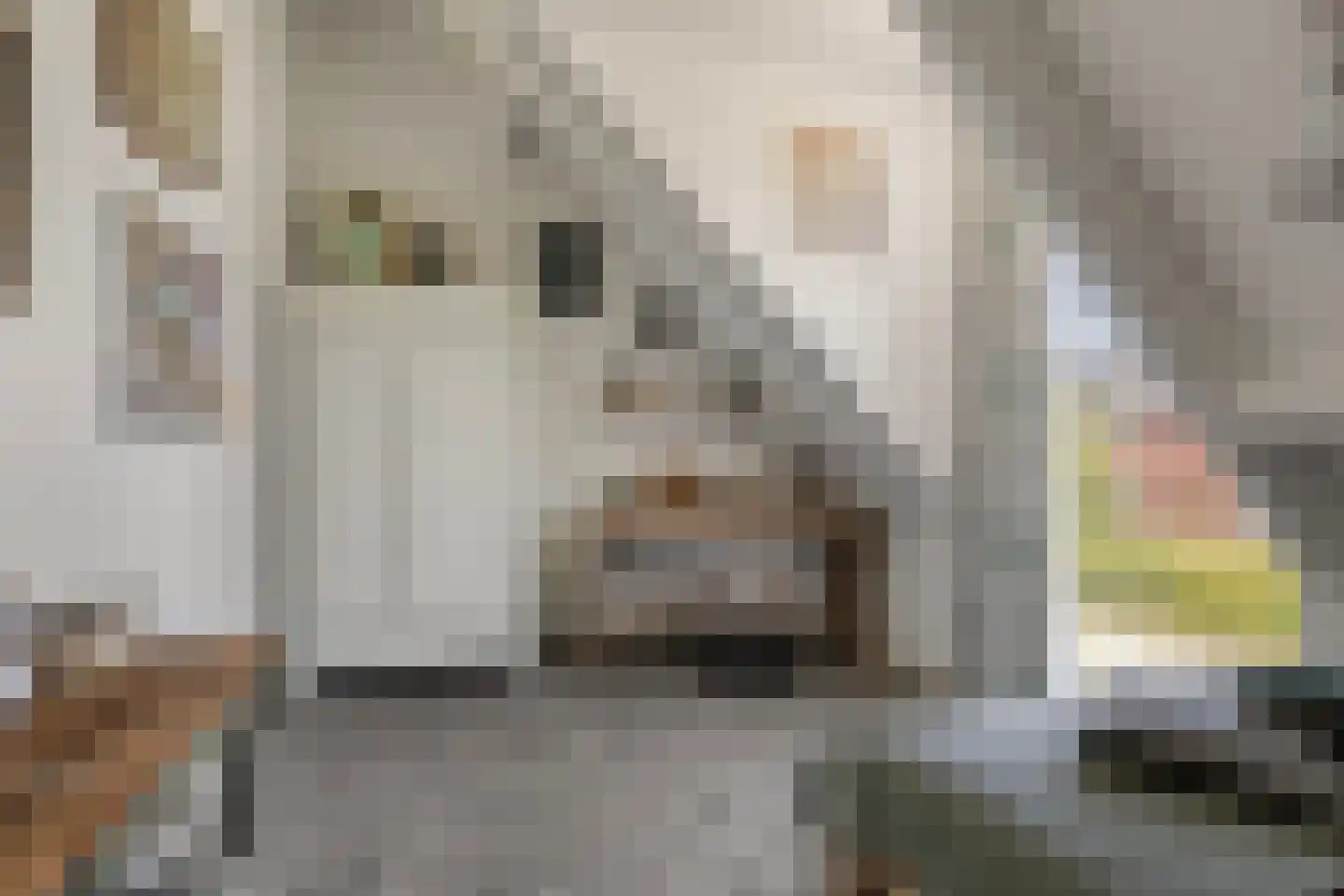 Hein Jordansstraat 12 Waalwijk thumbnail 34