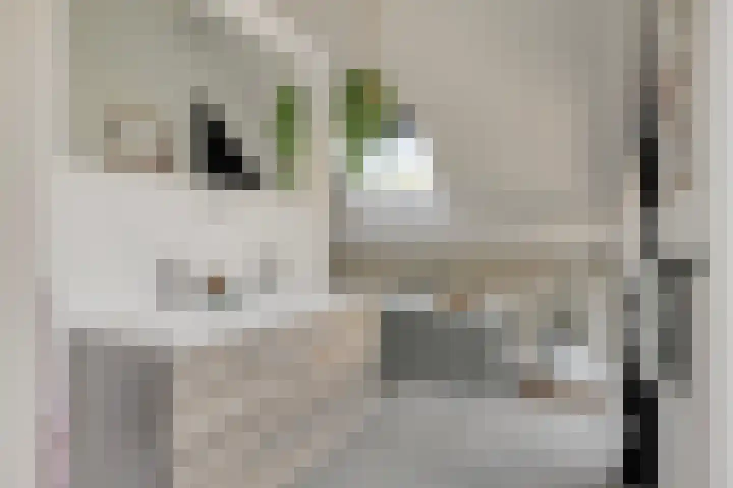 Hein Jordansstraat 12 Waalwijk thumbnail 6