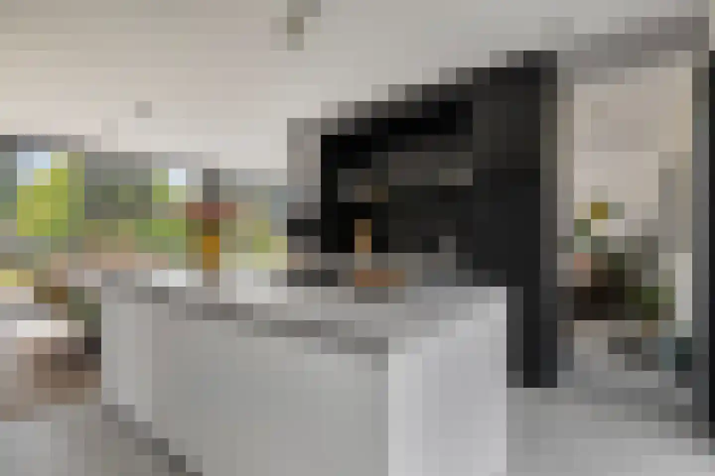 Hein Jordansstraat 12 Waalwijk thumbnail 9