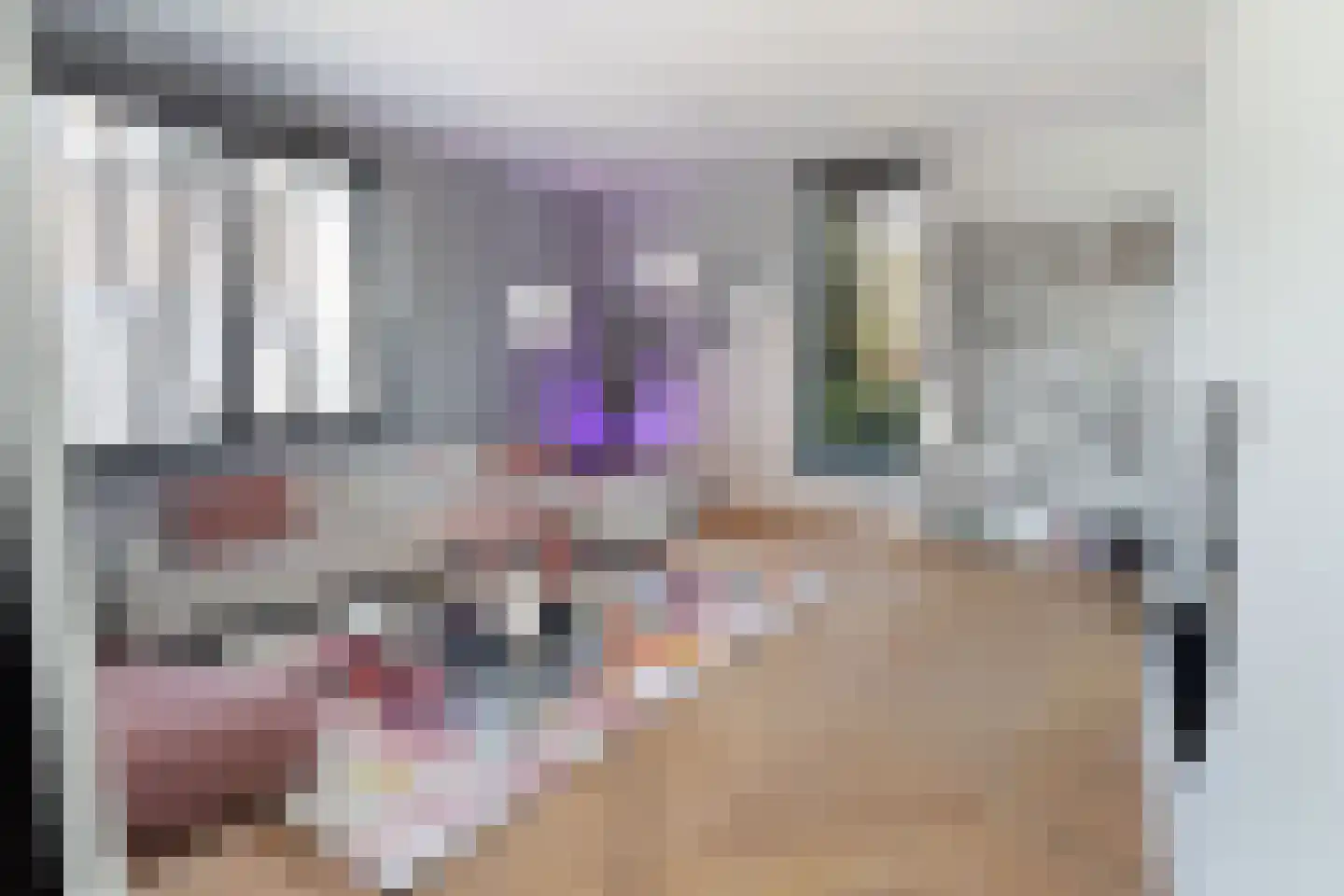 Hein Jordansstraat 14 Waalwijk thumbnail 23