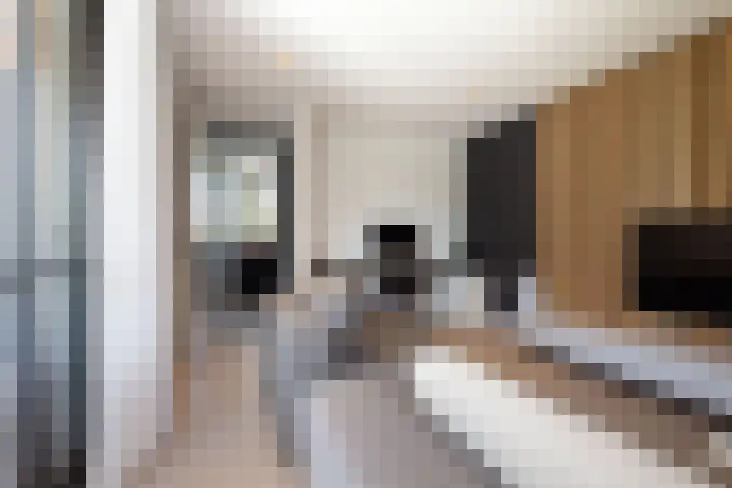 Hein Jordansstraat 14 Waalwijk thumbnail 27