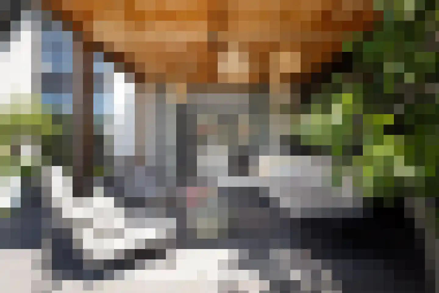 Hein Jordansstraat 14 Waalwijk thumbnail 35