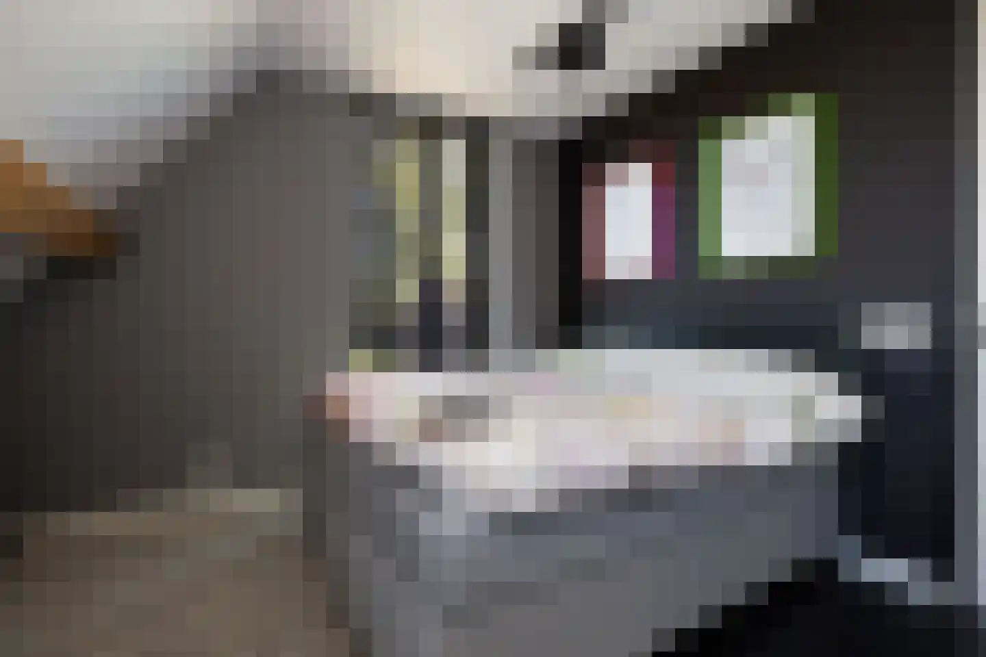 Hein Jordansstraat 14 Waalwijk thumbnail 45