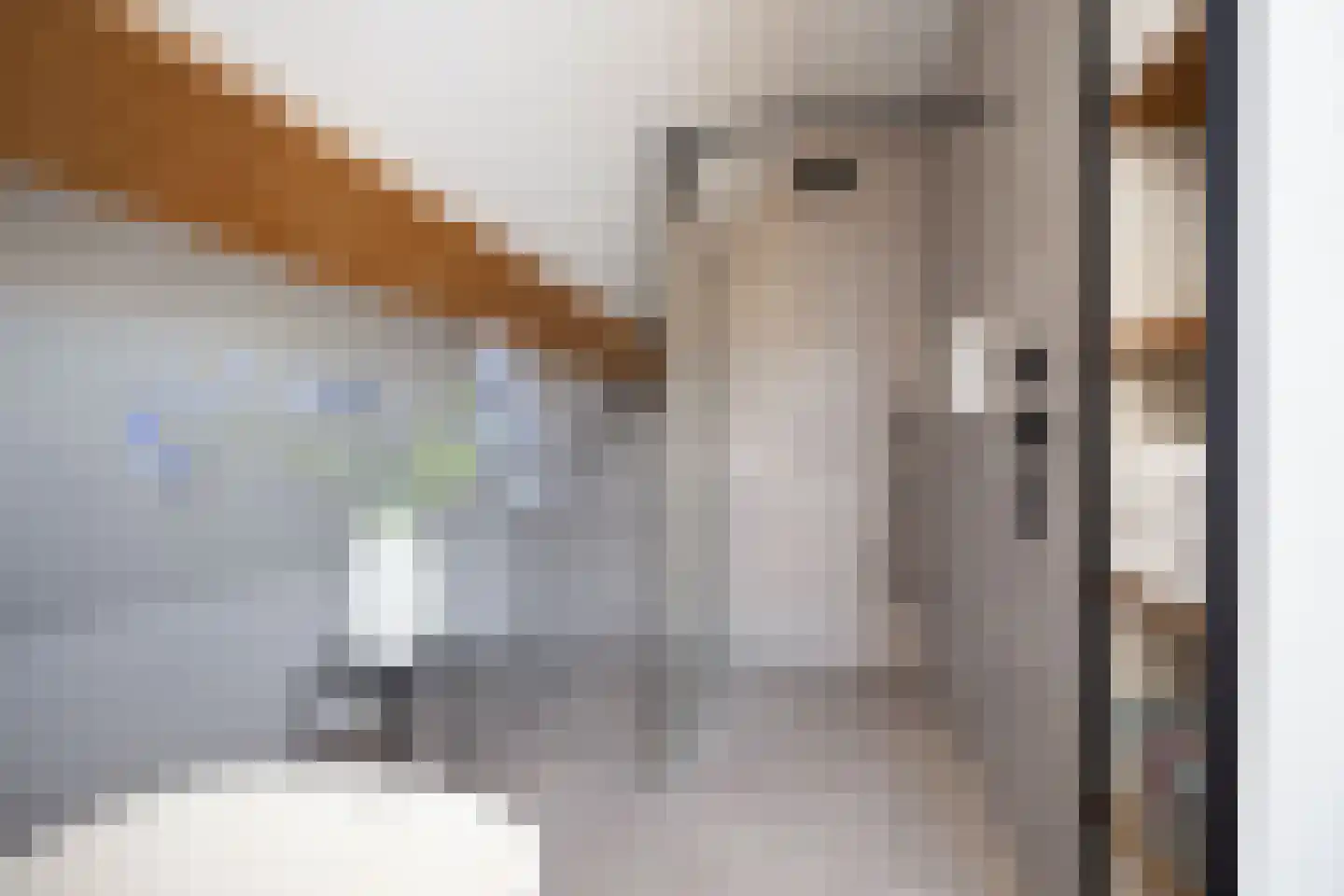 Hein Jordansstraat 14 Waalwijk thumbnail 52
