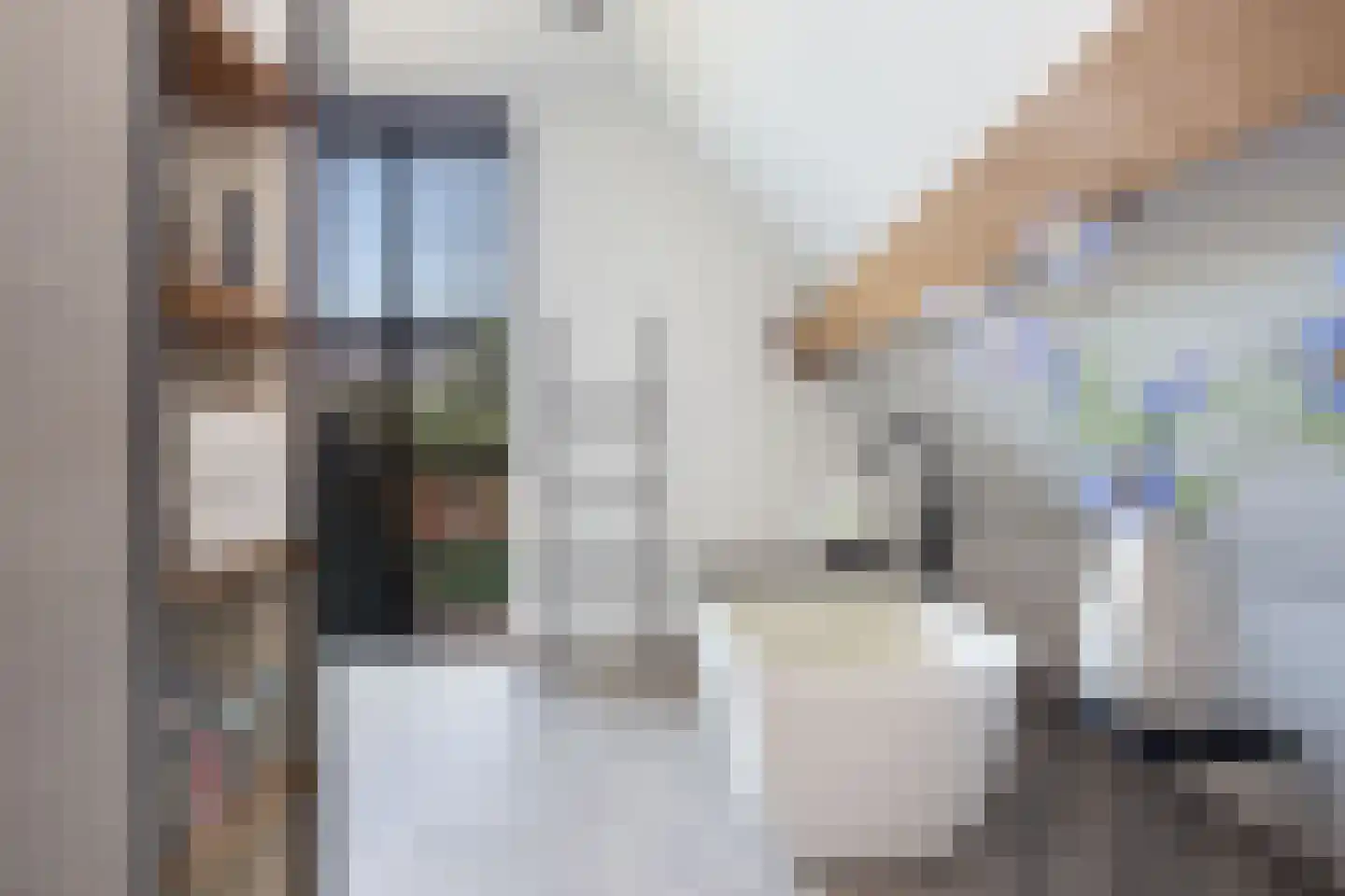 Hein Jordansstraat 14 Waalwijk thumbnail 53