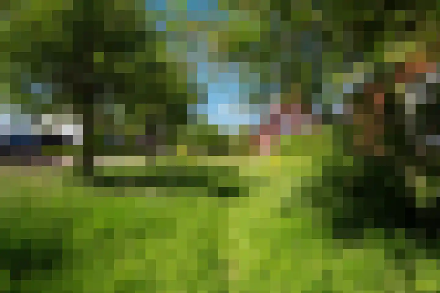 Hein Jordansstraat 14 Waalwijk thumbnail 7