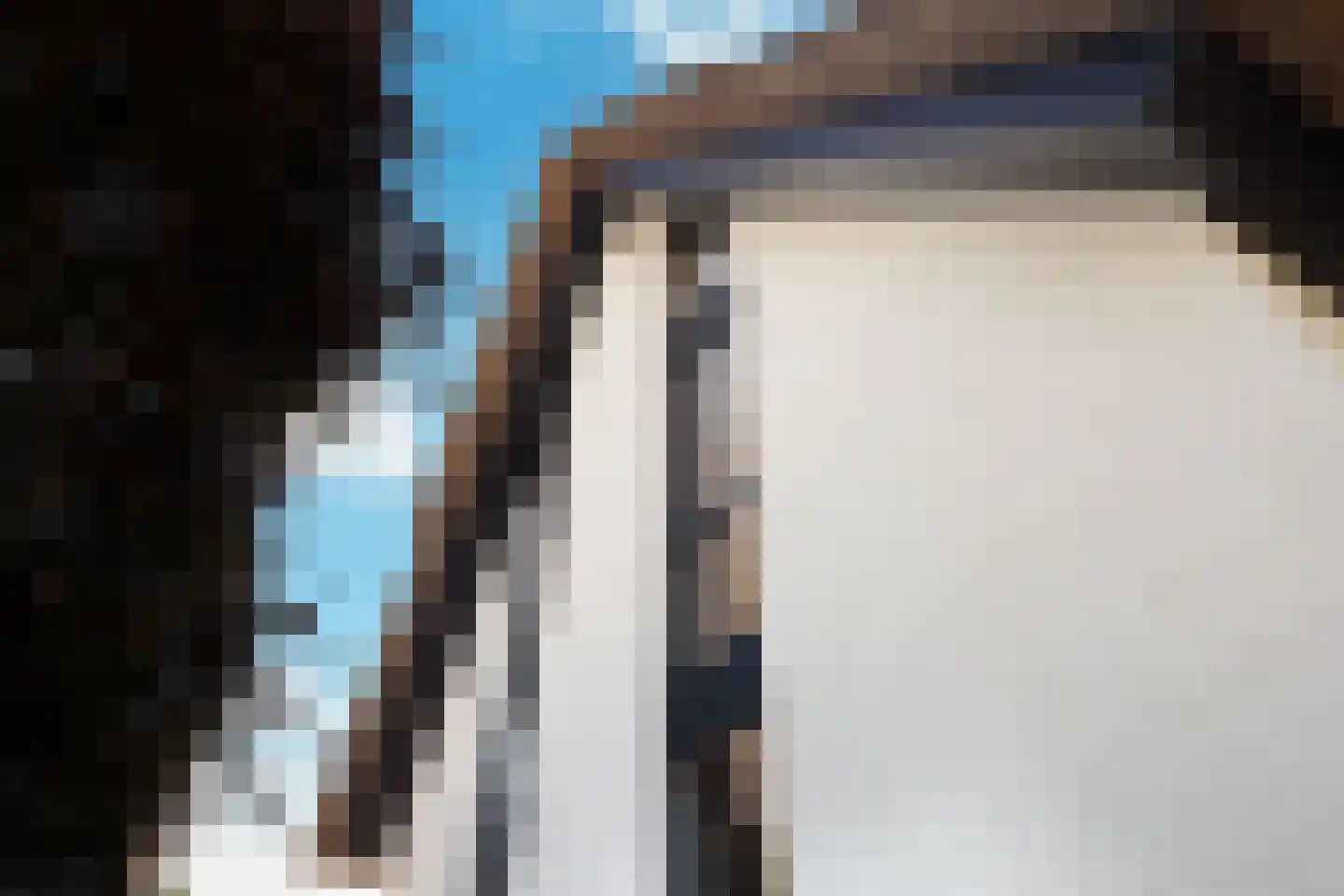 Hein Jordansstraat 14 Waalwijk thumbnail 9