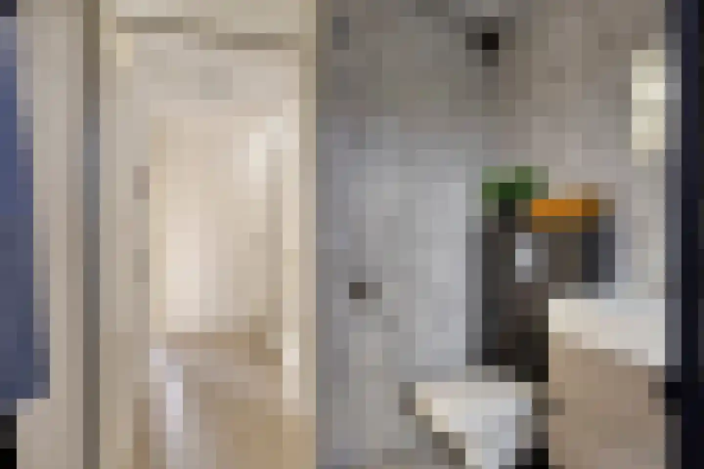 Hein Leemhuisstraat 13 Groningen thumbnail 18