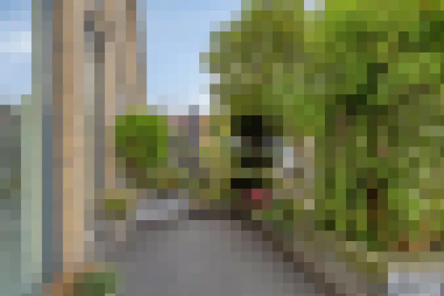 Hein Leemhuisstraat 13 Groningen thumbnail 25