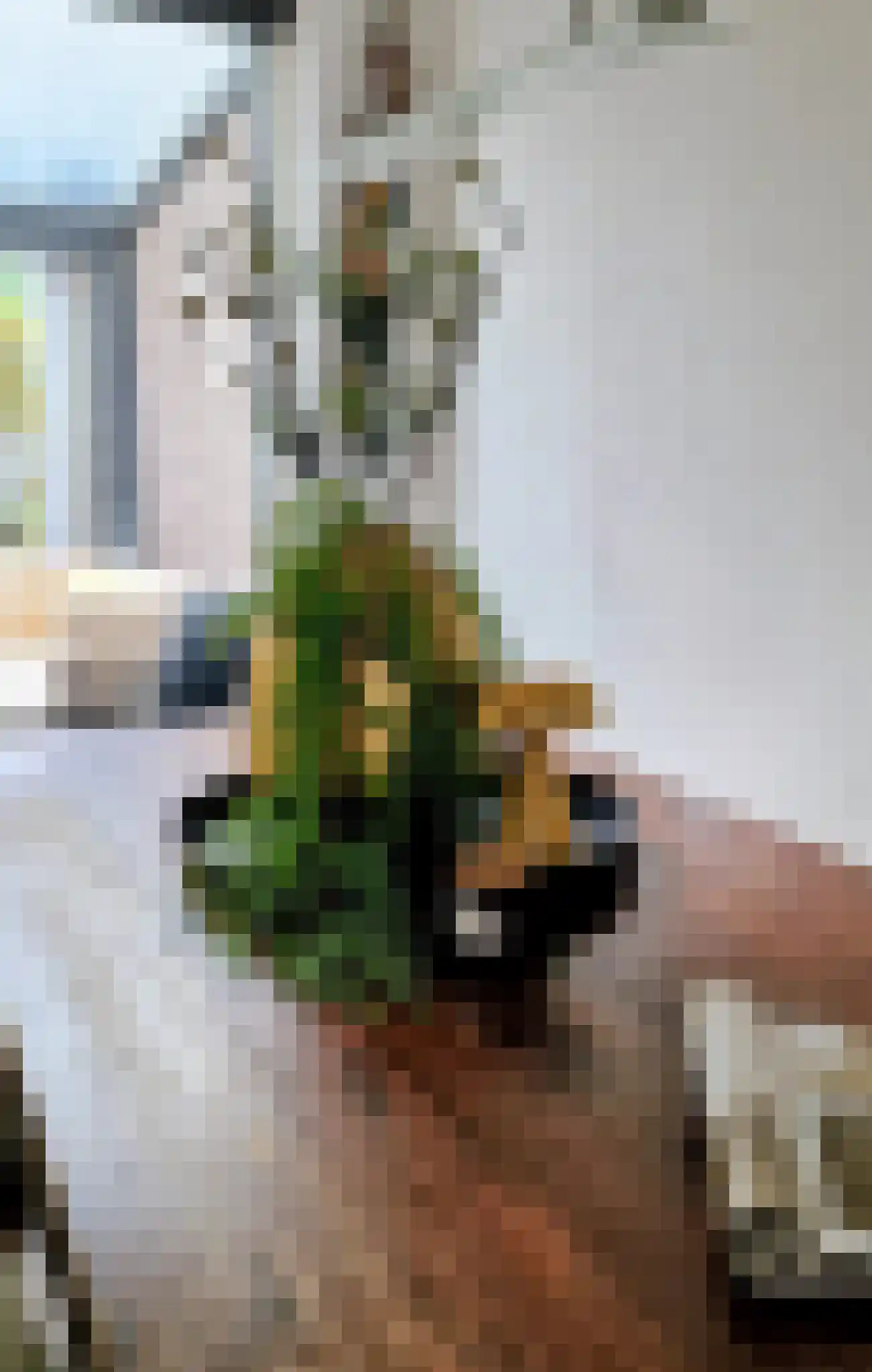 Hein Leemhuisstraat 13 Groningen thumbnail 32