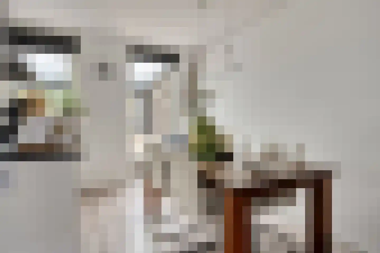 Hein Leemhuisstraat 13 Groningen thumbnail 35