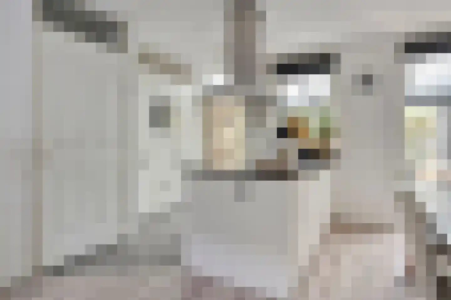 Hein Leemhuisstraat 13 Groningen thumbnail 36