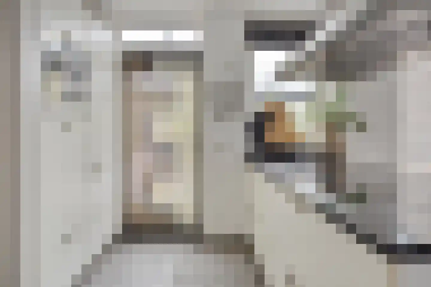 Hein Leemhuisstraat 13 Groningen thumbnail 37