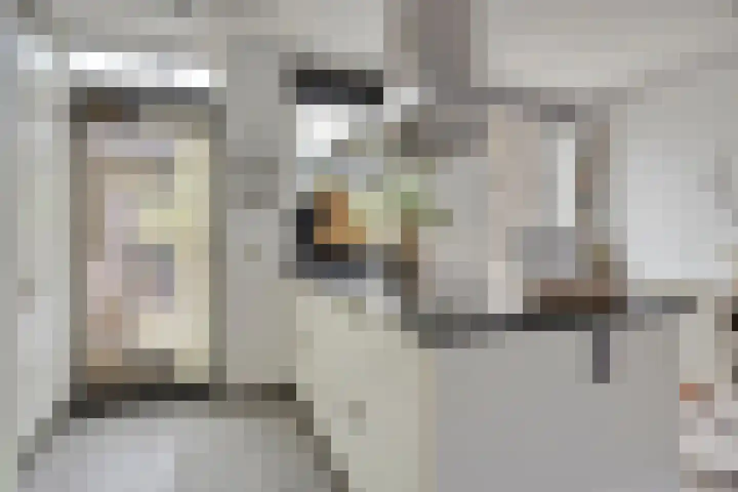 Hein Leemhuisstraat 13 Groningen thumbnail 43