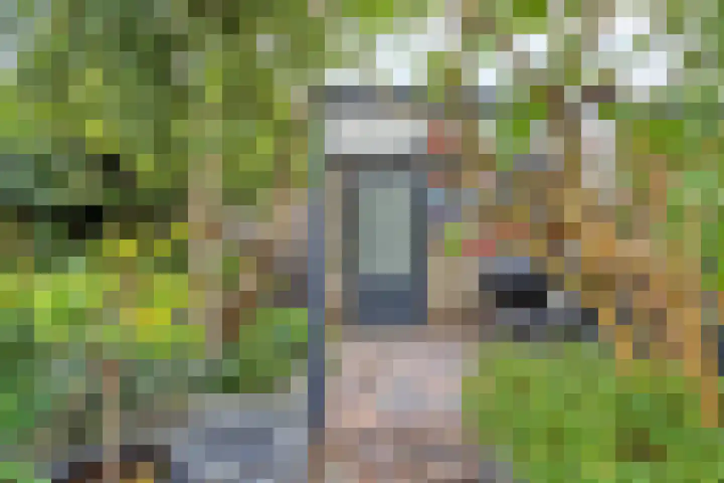 Hein Leemhuisstraat 13 Groningen thumbnail 50