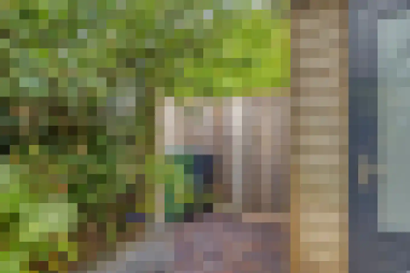 Hein Leemhuisstraat 13 Groningen thumbnail 53