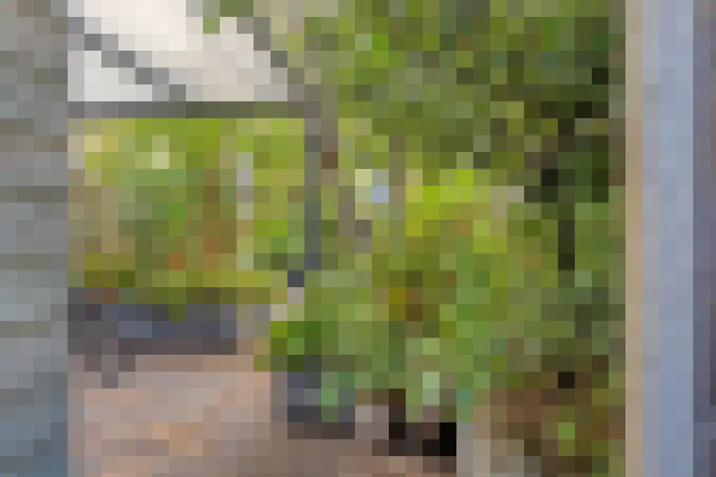 Hein Leemhuisstraat 13 Groningen thumbnail 56