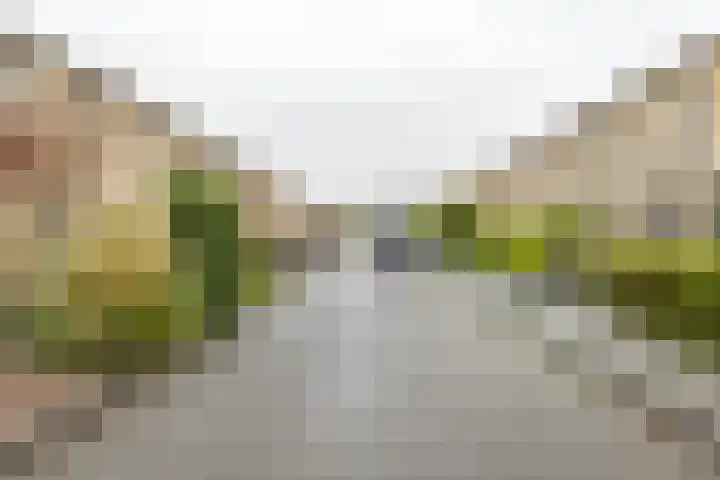 Hein Leemhuisstraat 6 Groningen thumbnail 10