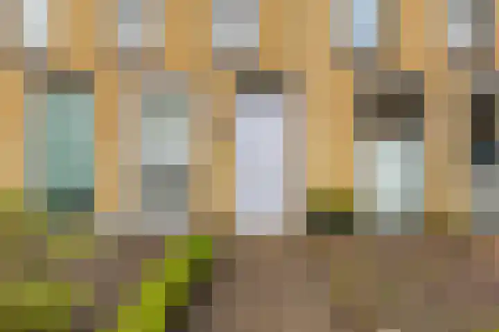 Hein Leemhuisstraat 6 Groningen thumbnail 12