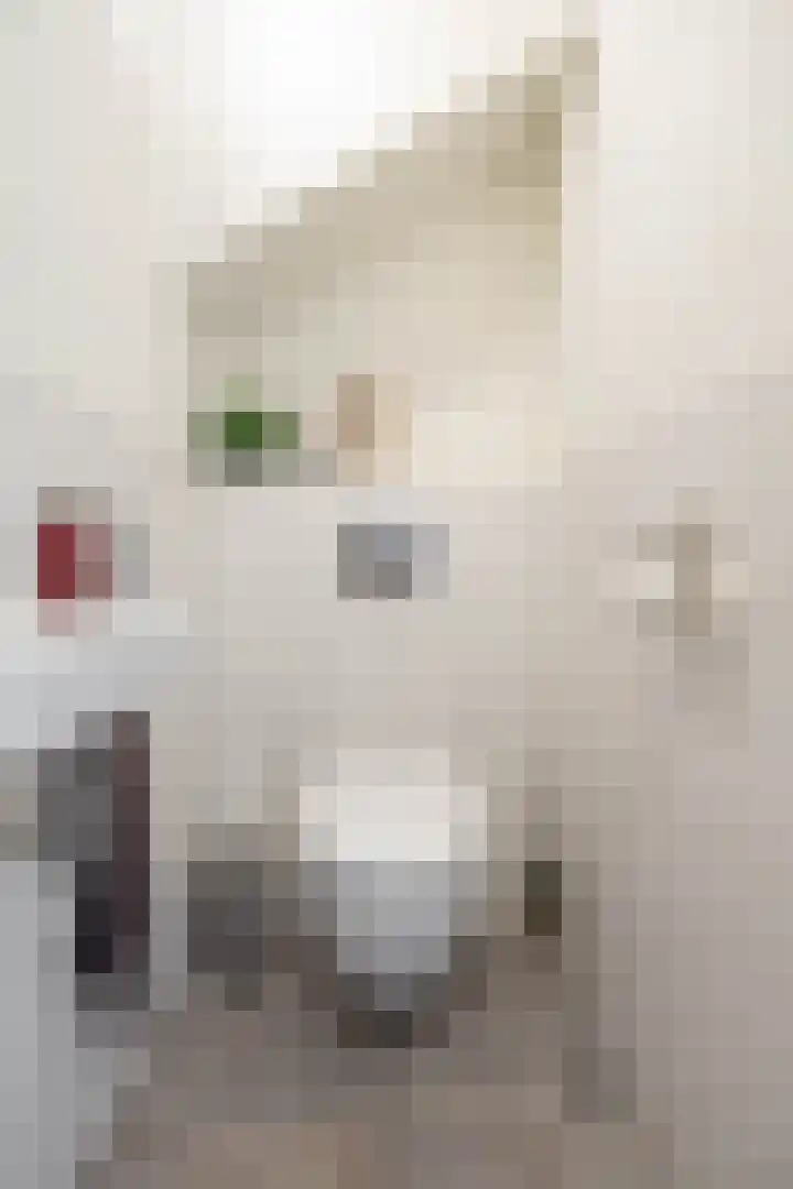 Hein Leemhuisstraat 6 Groningen thumbnail 20