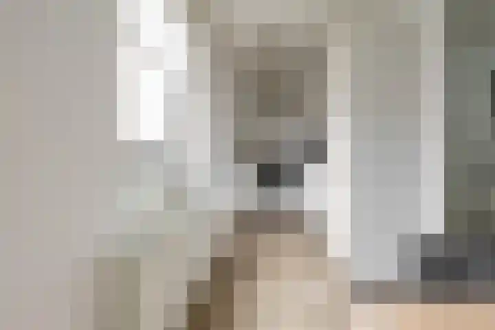 Hein Leemhuisstraat 6 Groningen thumbnail 21