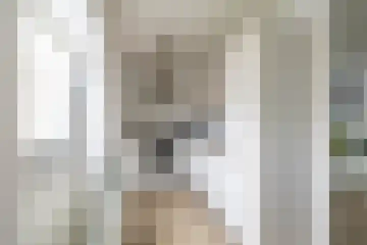 Hein Leemhuisstraat 6 Groningen thumbnail 22