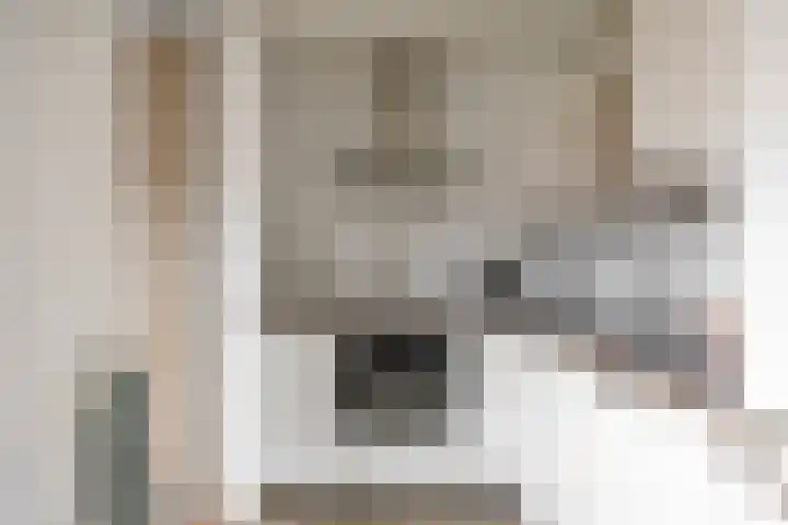 Hein Leemhuisstraat 6 Groningen thumbnail 23