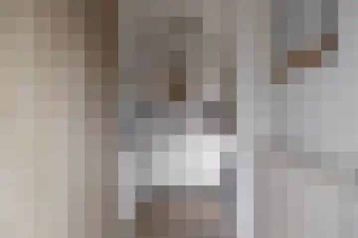 Hein Leemhuisstraat 6 Groningen thumbnail 27