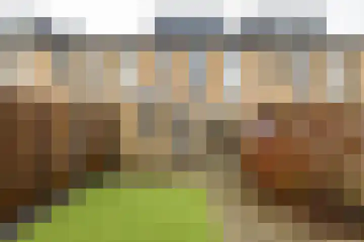 Hein Leemhuisstraat 6 Groningen thumbnail 31