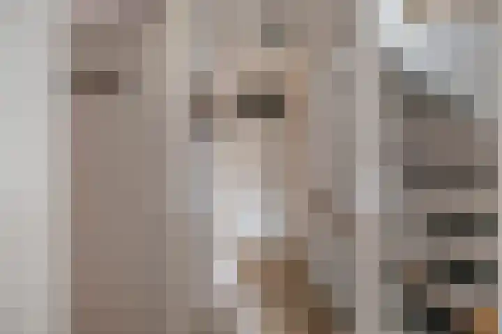 Hein Leemhuisstraat 6 Groningen thumbnail 33