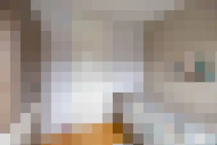 Hein Leemhuisstraat 6 Groningen thumbnail 38