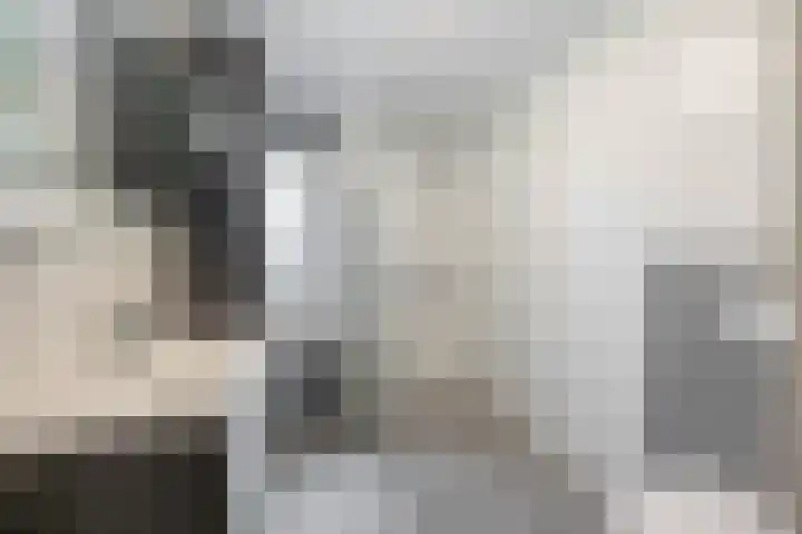 Hein Leemhuisstraat 6 Groningen thumbnail 42