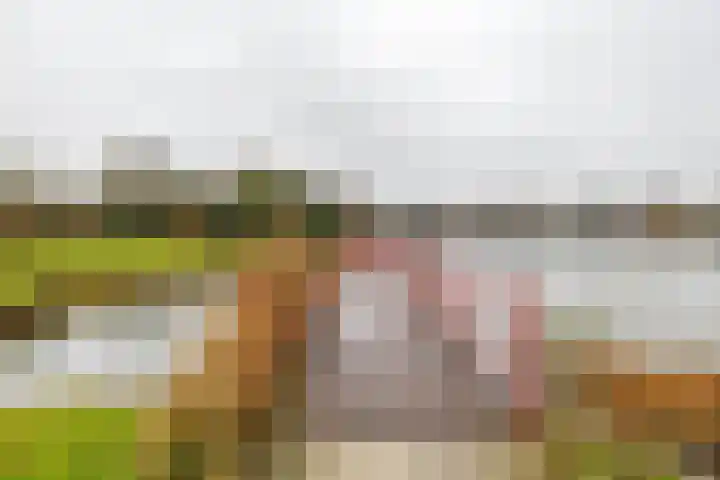 Hein Leemhuisstraat 6 Groningen thumbnail 8