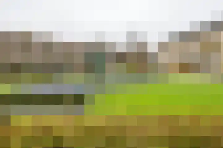 Hein Leemhuisstraat 6 Groningen thumbnail 9