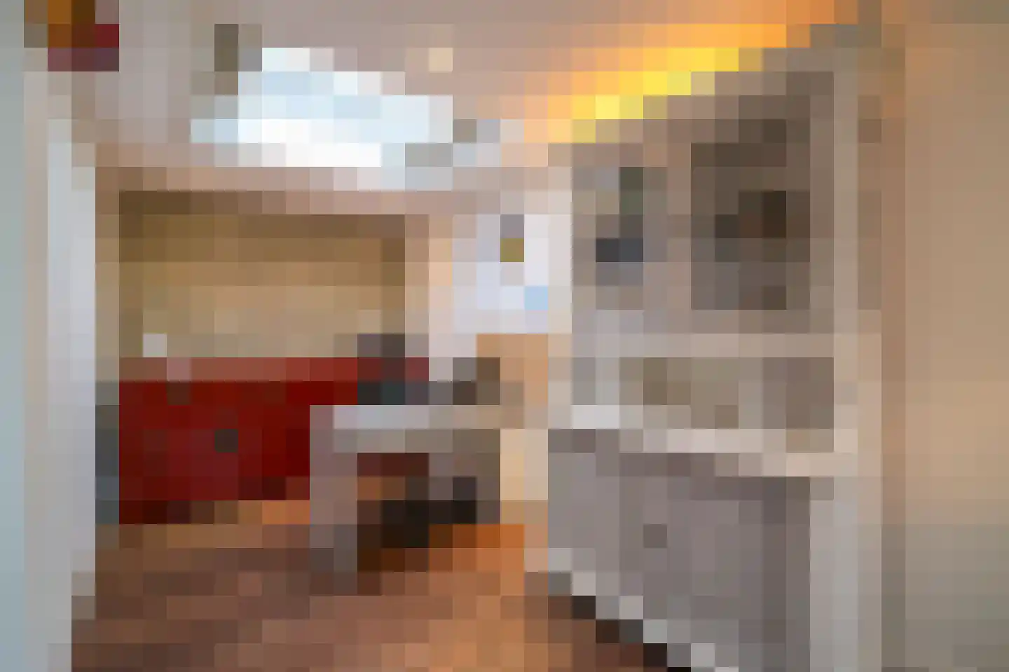 Hein Meijerstraat 13 Lichtenvoorde thumbnail 27